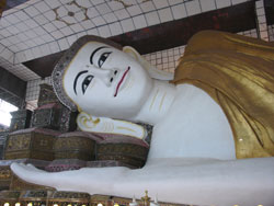 buddha33