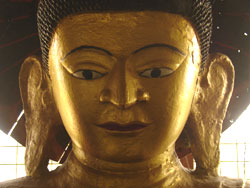 buddha36