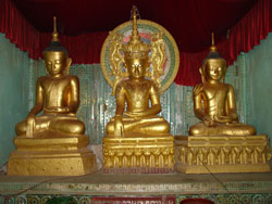 buddha43