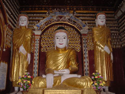 buddha50