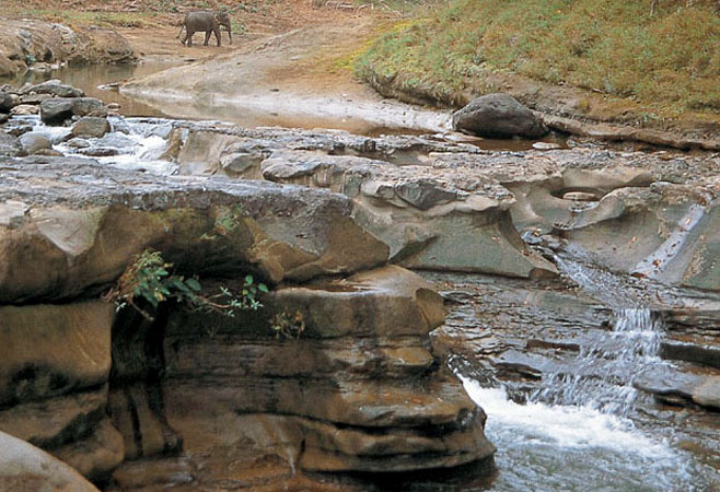 alaungdaw-kathapa-national-park