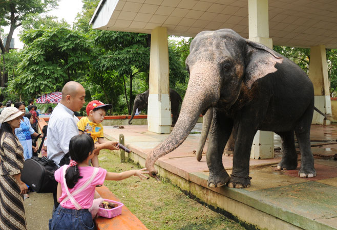 Zoological Garden